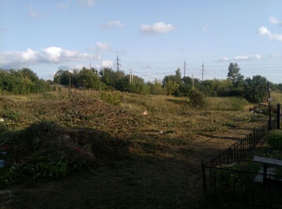 сырское