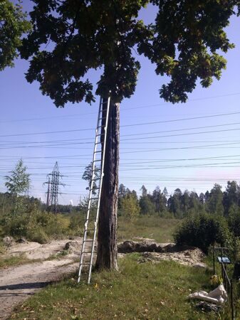 IMG_20170912_102556